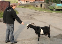 С 29 июня по 12 июля, храм-вагон в честь святителя Иннокентия Иркутского, с миссионерской группой во главе с иереем Олегом Разумовым совершал очередную поездку от Комсомольска-на-Амуре до Нового Ургала.