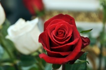 Молебен пред иконой Пресвятой Богородицы «Всецарица», пятилетие храма, расположенного на территории онкологического центра. 31 августа 2011