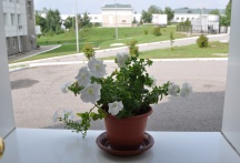 Молебен пред иконой Пресвятой Богородицы «Всецарица», пятилетие храма, расположенного на территории онкологического центра. 31 августа 2011