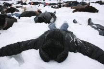 Молодежная акция «Безмолвный крик» в Хабаровске (7 марта 2007 года)